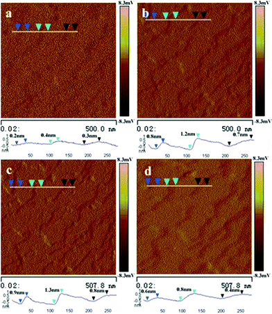 AFM images of the {100} surface of a single nanoribbon exposure to 365 and >500 nm light irradiation, respectively. (a) Top view of the original surface and the sectional view (blue line) of the relative flat surface; (b) Top view of the surface and the sectional view (blue line) of multisteps formed by 365 nm light irradiation for 2 min. (c) Top view of the surface and the sectional view (blue line) of steps formed by 365 nm light irradiation for 10 min. (d) Top view of the surface and the sectional view (blue line) of the relative flat surface after irradiation with light (λ > 500 nm) for 90 min.