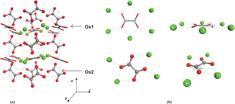 Crystal structure of COA and the calcium coordination around the Ox1 (sticks) and Ox2 (balls) type of oxalate ions (Hochrein et al., 2008).