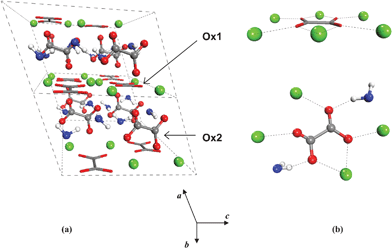 Crystal structure of COM and the calcium coordination around the Ox1 (sticks) and Ox2 (balls) type of oxalate ions (Echigo et al., 2005).