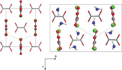 View along [100] direction showing the dispersively bound layers between planes of oxalate groups of type Ox2 in the COA and COM crystals.