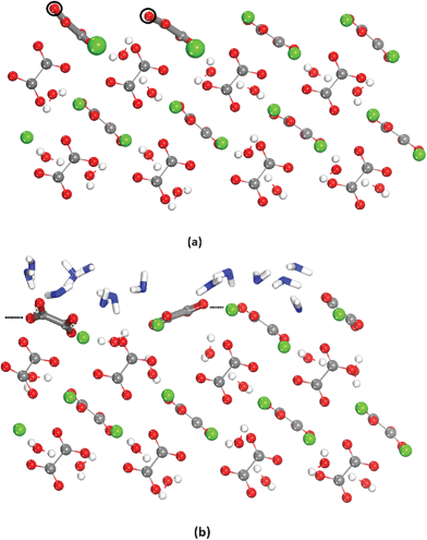 Dry (a) and hydrated (b) {021} surfaces. In (a) the black empty circumferences represent the position of the Ca ions in the bulk of the crystal. In (b) the hydration water is represented in blue.