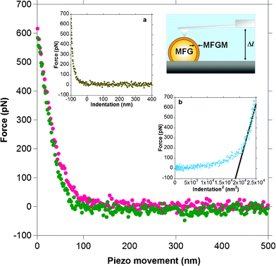 A typical force versus distance or piezo movement curve for the approach and retraction of a sharp cantilever tip on a MFGM. The red dots indicate the approach branch and the green dots indicate the retract branch of the force curve. The lack of hysteresis between the approach and retract curves suggests that the deformation of the MFGM surface is reversible or elastic. Inset ‘a’ shows the force plot converted to a force versus indentation curve. The zero on the x-axis in this plot indicates the contact point. Inset ‘b’ shows the slope of the force versus indentation2 curve used to extract the Young's modulus. The schematic diagram of the AFM setup shows a cantilever tip positioned over the apex of a milk fat globule (MFG) that is immobilised on the surface.