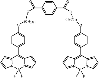 Molecular formula of the fluorescent rotor used in this work.