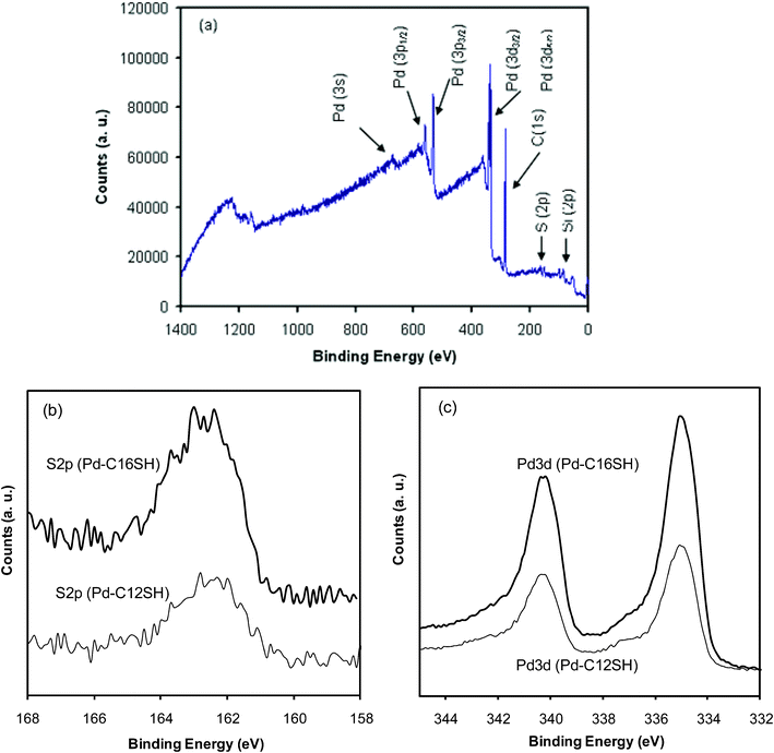 XPS spectra of the (a) survey scan of C16SH-coated palladium nanoshells, (b) S 2p region for C12SH- and C16SH-coated palladium nanoshells, and (c) Pd 3d region for C12SH- and C16SH-coated palladium nanoshells.