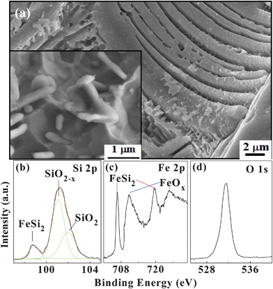 (a) SEM image of the etched β-FeSi2 powder without ultrasonic treatment. The bottom-left inset shows a local surface morphology. (b) Si 2 p, (c) Fe 2 p, and (d) O 1 s core level XPS spectra acquired from the β-FeSi2 nanowhisker powder.