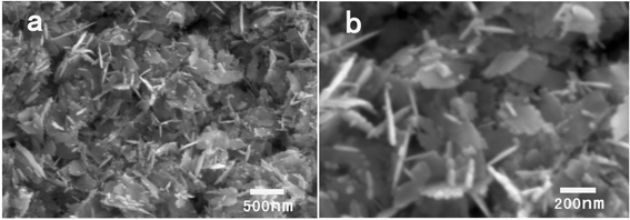 SEM images of the products synthesized with 40 mg zinc acetate dihydrate in 0.5 g BTMAH with 2 g water.