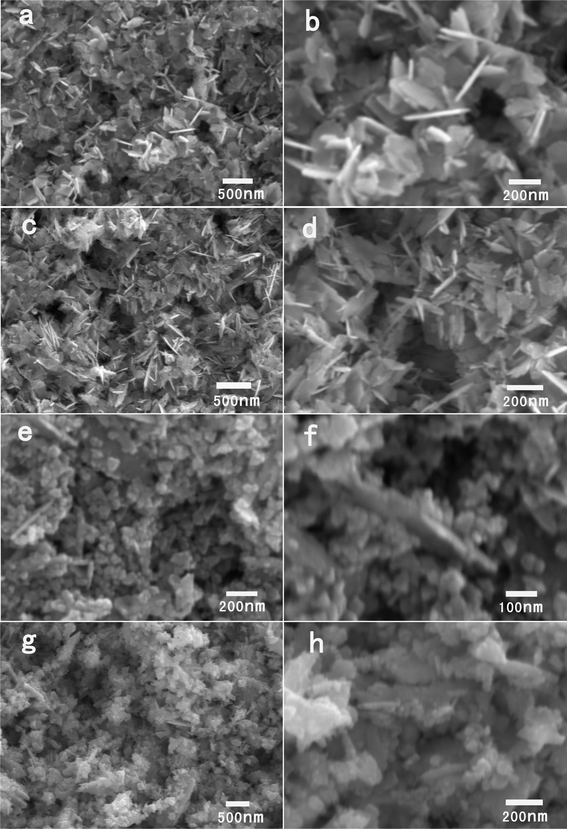 SEM images of the products synthesized with 40 mg of zinc acetate dihydrate in 0.5 g BTMAH ionic liquid with different amounts of water. (a, b) 1 g; (c, d) 3 g; (e, f) 5 g; (g, h) 8 g.