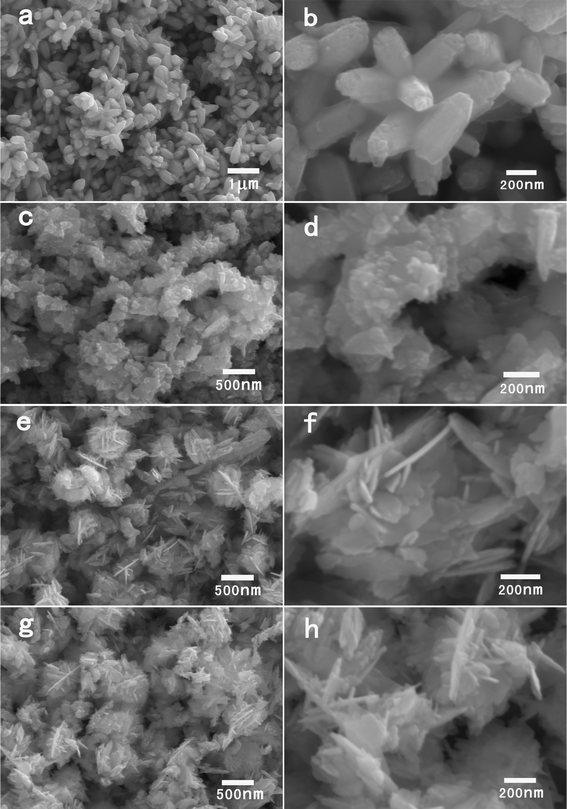 SEM images of the products synthesized with different amounts of zinc acetate dihydrate in 0.5 g BTMAH ionic liquid with 2 g water. (a, b) 10 mg, (c, d) 20 mg, (e, f) 30 mg, (g, h) 50 mg.