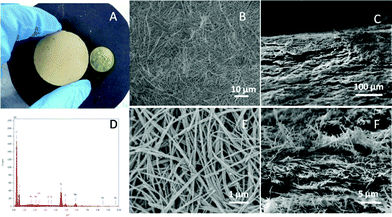 A) Digital photo of the TiO2/K-OMS-2 membrane. B) Top view FESEM image of the TiO2/K-OMS-2 membrane. C) FESEM image of the cross-section. D) EDX spectrum of the TiO2/K-OMS-2 membrane. E) High resolution top view FESEM image of the TiO2/K-OMS-2 membrane. F) High resolution FESEM image of the cross-section.