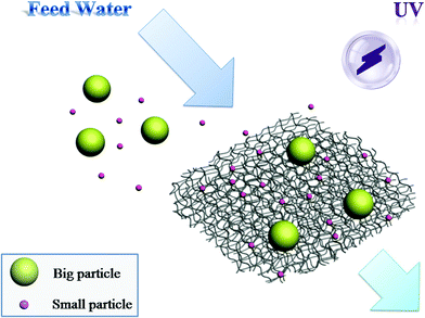 Scheme of the concurrent filtration, adsorption and PCO in water treatment process using the synthesized membrane.