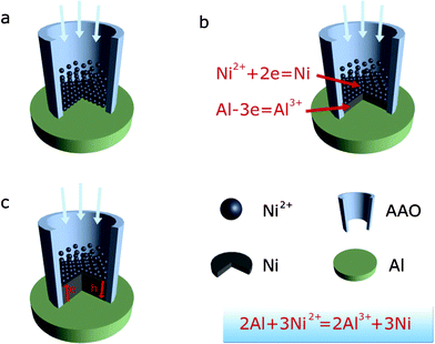 Schematic diagram of the growth process of Ni nanowires by chemical reduction with an Al substrate in the pores of the AAO.