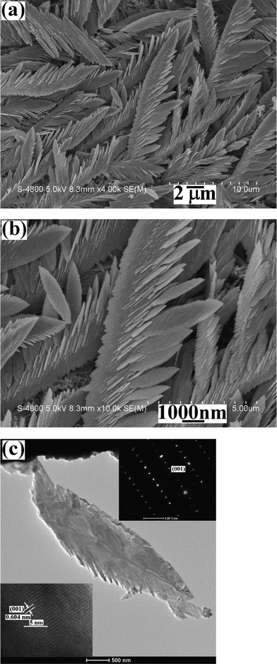 
            Electron microscopy images of featherlike products electrodeposited on ITO at the current of 8 mA for 5 min from the solution of 0.5 mmol Na2TeO3 + 3 mL diluted HNO3 + 27 mL distilled water: (a) a representative low magnification SEM image, (b) a high magnification SEM image, (c) a typical TEM image (the upper inset: a SAED pattern and the lower inset: a HRTEM image).