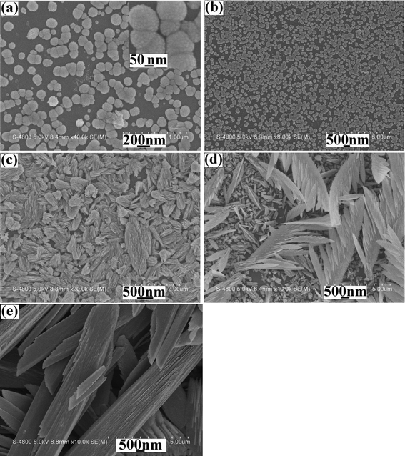 
            SEM images of the products electrodeposited in the same system with the current of 8 mA for different times: (a) 5 s, (b) 30 s, (c) 90 s, (d) 180 s and (e) 600 s.