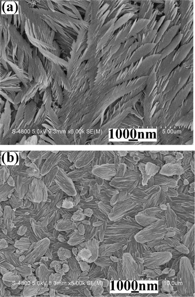 
            SEM images of the products obtained from systems containing different original amounts of Na2TeO3 under the same experimental conditions: (a) 0.25 mmol and (b) 1.0 mmol.