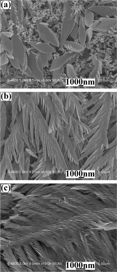 
            SEM images of the products prepared from the systems introduced various volumes of nitric acid at the deposition current of 8 mA for 5 min: (a) 1 mL, (b) 5 mL and (c) 7 mL.