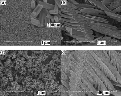 
            SEM images of the products deposited from the systems containing 0.5 mmol Na2TeO3 +3 mL diluted HNO3 + 27 mL distilled water, at different currents for 5 min: (a) 4 mA, (b) 6 mA and (c) 10 mA. (d) A typical SEM image of the product deposited on the Cu substrate under the above same system at the current of 8 mA for 5 min.