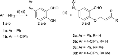 Reagents & conditions: (i) NaNO2, HCl, 0–5 °C, (ii) 10% NaOH, salicylaldehyde, 0–5 °C, (iii) K2CO3, DMF, allyl/prenyl bromide, 12 h.