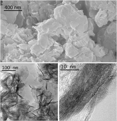 SEM image (above) and TEM images (below) of sample 1/2/1_as.