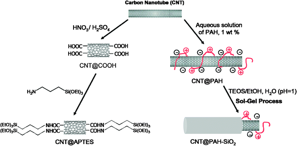 Two main strategies to modify the surface of CNTs.