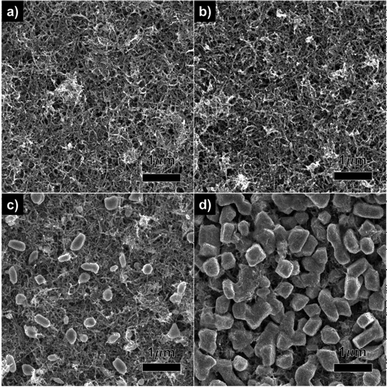 FESEM images of Sn–MWCNT nanocomposite films deposited under with a constant current for different time durations: (a) 1 min, (b) 3 min, (c) 7 min, and (d) 10 min.