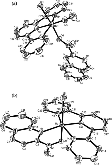 ORTEP diagrams of (a) [1]BF4·5H2O and (b) [2](BF4)2. Thermal ellipsoids are drawn at 50% probability. The solvents of crystallization, counter anions and hydrogen atoms are omitted for clarity.