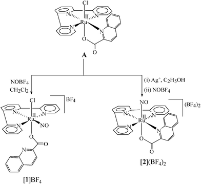 The synthetic outline for [1]BF4 and [2](BF4)2.