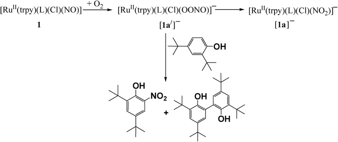 Dioxygenase activity of 1 at pH ∼ 1.