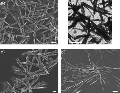 (a) FE-SEM image of the tightly packed nanotube bundles as prepared at pH 6.5; (b) TEM image of the nanotube bundles at pH 6.5; (c) FE-SEM image of the loosely packed nanotube bundles obtained at pH 5; (d) FE-SEM image of the well-separated nanotubes obtained at pH 3. All scale bars are 1 μm.