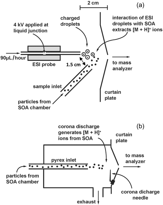 (a) Schematic of the merging of the electrospray droplets and SOA particles in relationship to the curtain plate of the triple quadrupole MS. (b) Schematic of the chamber used for APCI on the same instrument. This chamber and the corona discharge needle are removed when the MS is used in EESI-MS mode.