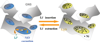 Schematic illustration of the 3D-hierarchical NiO–GNS composites before and after the cycling process.