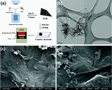 (a) Illustration of the process used to fabricate the NGR counter electrode on fluorinated-doped tin oxide (FTO). (b) TEM image of NGR prepared using the hydrothermal method. (c) SEM images of the morphology of the as-prepared NGR counter electrode. (d) SEM images of the morphology of the counter electrode fabricated using GR.