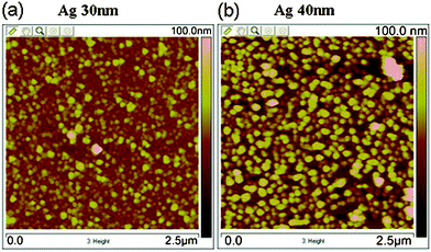 
          AFM images of Ag NPs (a) before and (b) after SERS detection.