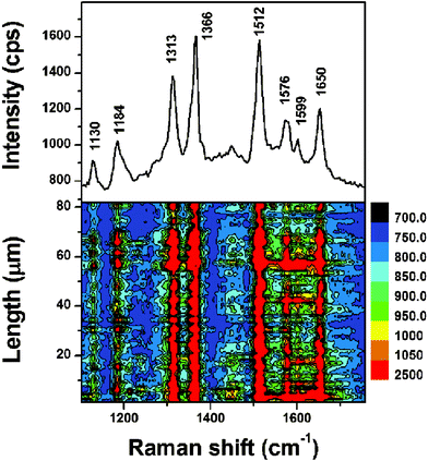 The SERS spectrum of R6G methanol solution (1 × 10−12 M) on Ag NP assembly as substrate (upper part), and the SERS contour (lower part).