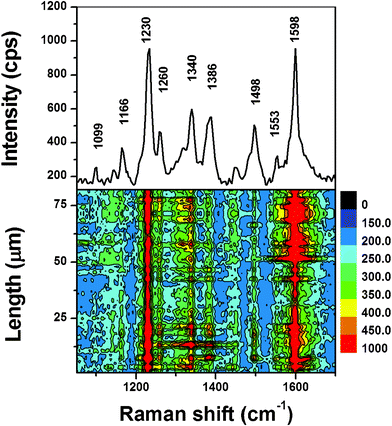 The SERS spectrum of SDI methanol solution (1 × 10−12 M) on Ag NP assembly as substrate (upper part), and the SERS contour (lower part).