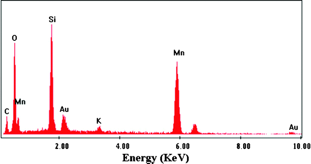 EDX spectrum of the mesoporous MnO2 walnuts.