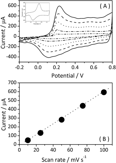 (A) Cyclic voltammograms of the PANI/Ag composite in aqueous HCl 0.1 M solution at different scan rates (from inner to outer curve: 10, 25, 50, 75 and 100 mV s−1). Inset: cyclic voltammogram of pure PANI in aqueous HCl 0.1 M solution at 50 mV s−1. (B) Intensity of the cathodic peak as a function of scan rate.