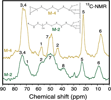 
            13C-NMR spectra on samples M-4 and M-2.