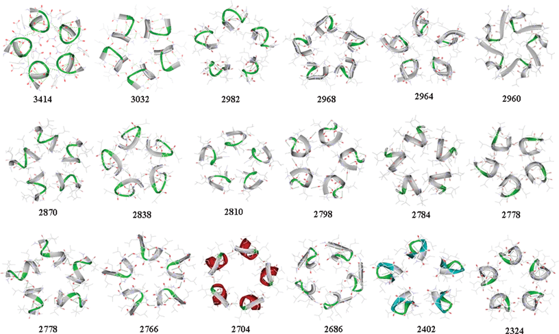 Pentamer assemblies over solvent-relaxed octapeptide folds showing the eighteen highest scoring monomers in diminishing SymmDock scores.