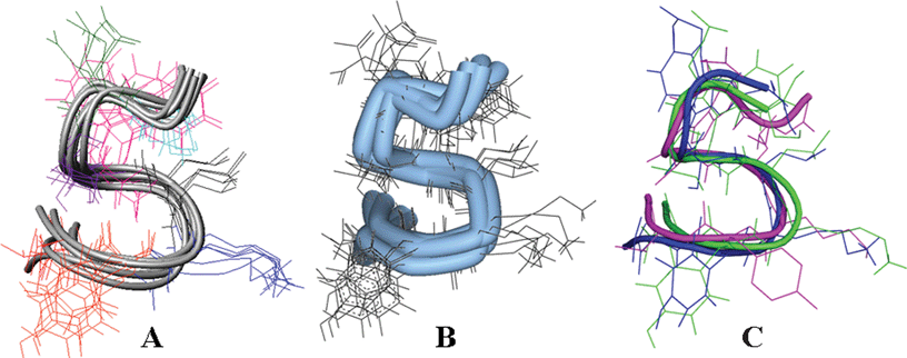 Superposition of the five lowest energy CYANA-derived folds in Ib [mutual Cα RMSD = 0.52 Å] (Panel A), of central members of the five most populous clusters of the fold recovered from MD [mutual Cα RMSD = 1.1 Å] (Panel B), and of the lowest energy CYANA model, the central member of the most populous MD cluster, and the design generated computationally [mutual Cα RMSD = 4.2 Å] (Panel C).