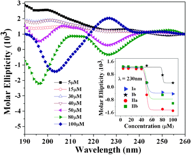 CD spectra of neutral and charged octapeptides as a function of concentration. Ellipticity at λ 230 nm as a function of concentration (inset).