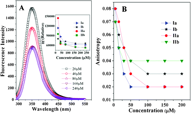 Fluorescence emission spectra of neutral and charged peptides as a function of concentration (Panel A). Fluorescence intensity (inset Panel A) and anisotropy (Panel B) as a function of concentration.