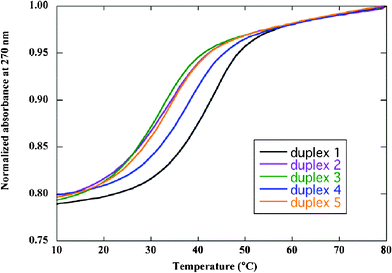 UV-melting profiles of homo- (duplex 1) and heterochiral duplexes (duplexes 2–5). Samples contained 6 μM duplex in 10 mM MgCl2, 100 mM NaCl, and 70 mM MOPS (pH 7.1).