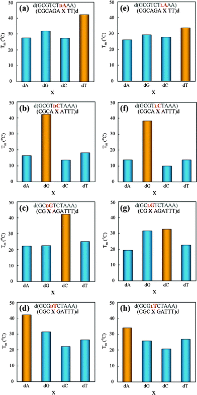 Effects of base pair mismatch of d- (a–d) and l-nucleotide (e–h) on duplex stability. Samples contained 6 μM duplex in 10 mM MgCl2, 100 mM NaCl, and 70 mM MOPS (pH 7.1). Yellow bars denote Tm values of fully matched duplexes, and blue bars denote Tm values of mismatched duplexes.