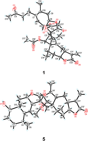 Single X-ray crystallographic structures of 1 and 5 showing their absolute configurations.