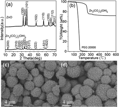 (a) XRD patterns of hydrozincite and ZnO samples, (b) TG curves of hydrozincite and PEG in air, (c) SEM images of hydrozincite and (d) ZnO microspheres (sample S3).