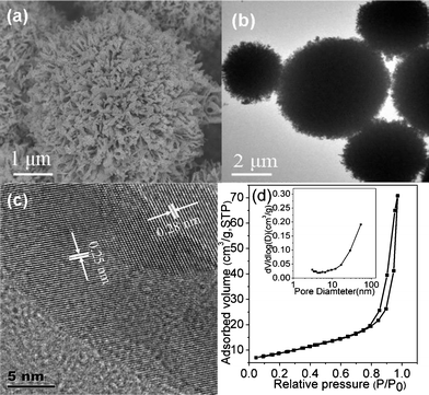 SEM image (a), TEM images (b and c), and N2 adsorption–desorption isotherm and pore size distribution curve (inset) (d) of urchin-like ZnO microspheres (sample S3).