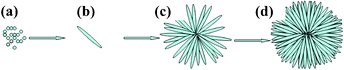 Schematic illustration of the evolution process of the obtained urchin-like microspheres: (a) nuclei formation from the precipitation of the precursor ions, (b) hydrozincite nanoneedle, (c) flower-like hydrozincite, and (d) urchin-like hydrozincite microsphere.