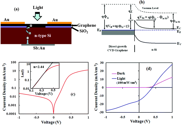 (a) Schematic diagram of the fabricated nanographene/n-Si Schottky junction device. (b) The energy-band diagram of the fabricated device; showing the formation of a potential barrier at the interface. (c) J–V curve as a log plot under dark conditions (inset of the figure, a fitting plot of ln(I)–V in forward bias). (d) J–V characteristics in the dark and under illumination of 100 mW cm−2.