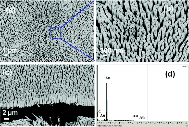 (a–c) FESEM images of Au Nanowires. (d) EDS data for the nanowire array.