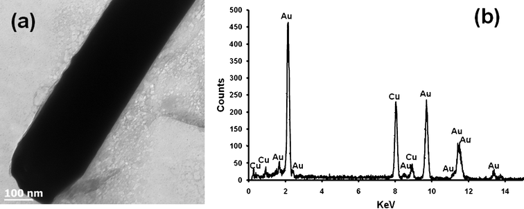 (a) TEM image of Au Nanowire. Fig. (b) EDS of Au nanowire generated from the nanowire shown in Fig. 2 (a).